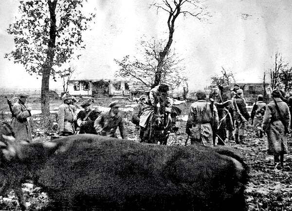 Воины польской партизанской Армии краевой фотографировались при уничтожении села Сагринь на Холмщине 10 марта 1944. Похоже на то, что снимки на фоне горящих украинских домов, круг убитых крестьян делались с целью распространить страх и панику среди украинского Холмщины и заставить их выехать за реку Буг - на Волынь