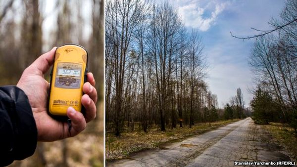 Дорога через Рудий ліс – частково очищена від радіації (дезактивована). Однак вже на узбіччях рівні радіації починають зростати