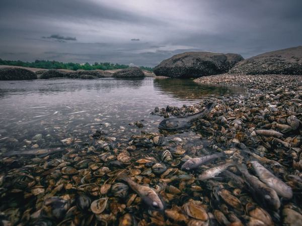 Фото:  Eugene Vik / Інстаграм